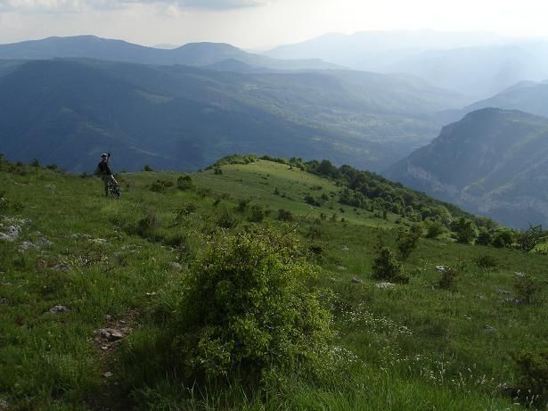 C20nerDobrian.JPG ht=461