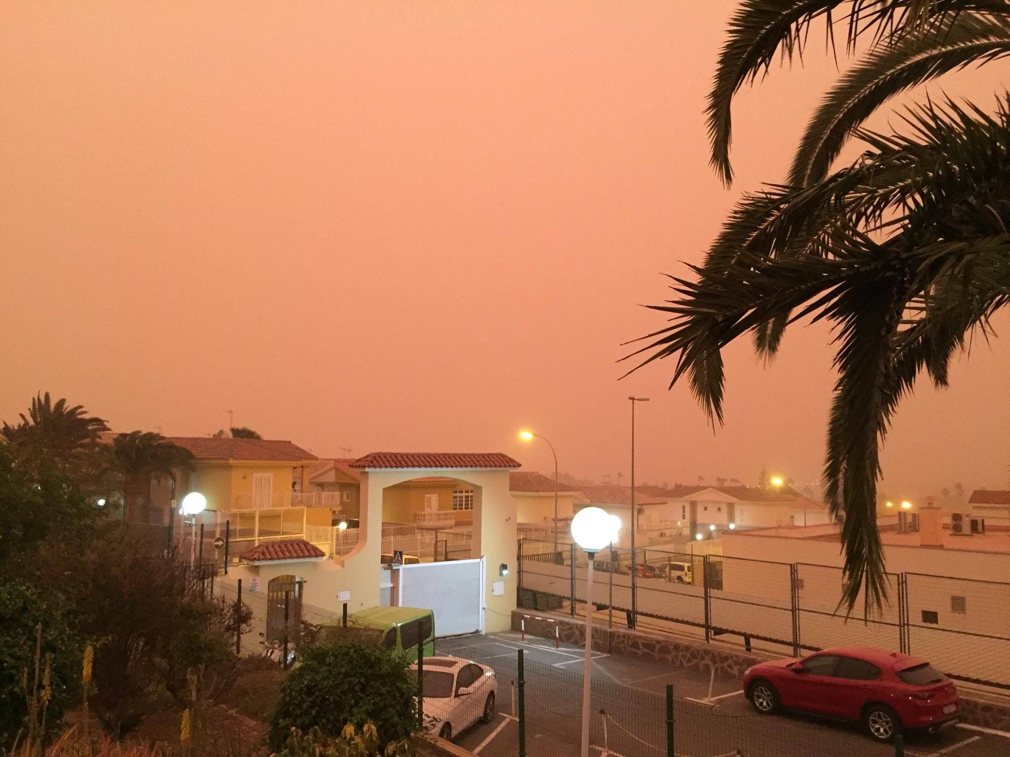 CA2D261F-2F5B-4188-A1F3-396747FDF2F4.jpeg