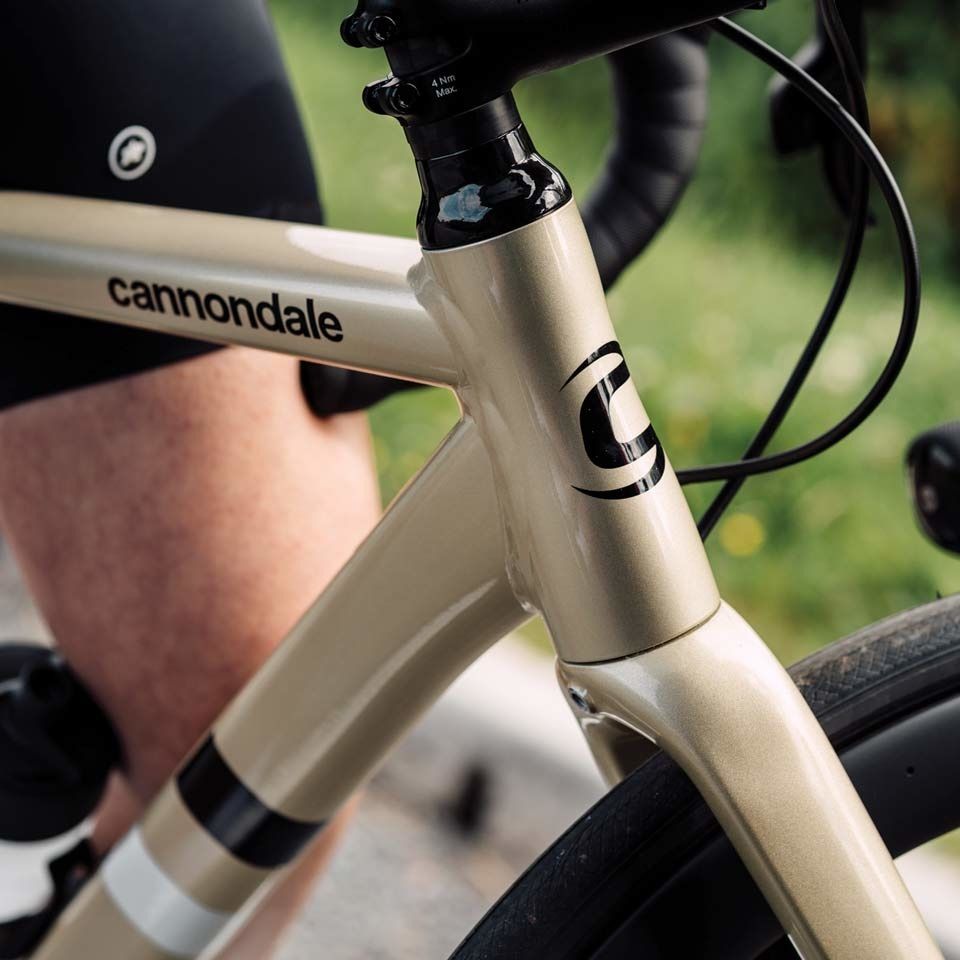 CAAD13-fork-close-shot.jpg