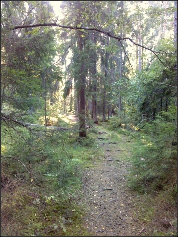 CAM00114.jpg