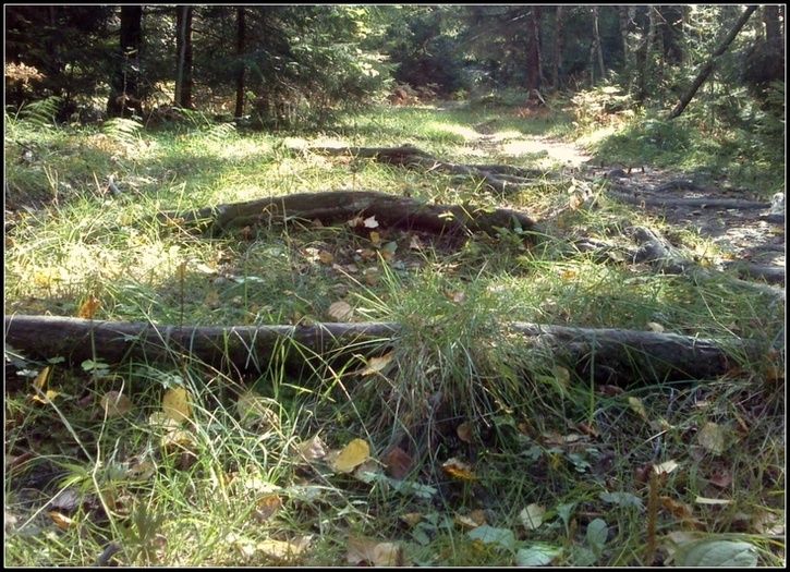 CAM00120.jpg