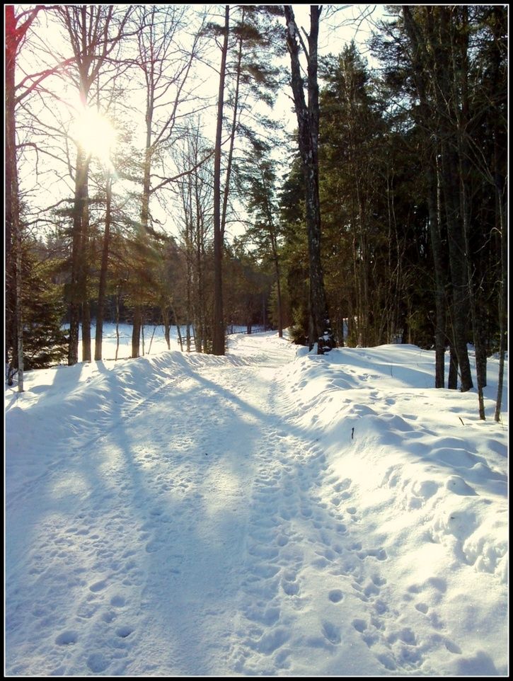 CAM00267.jpg