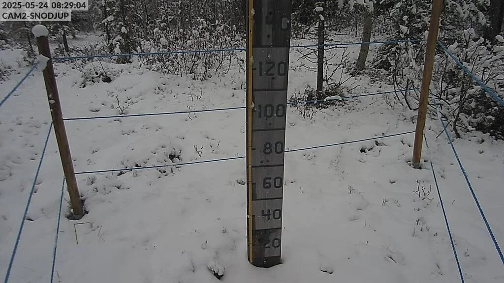 cam2-snodjup.webp