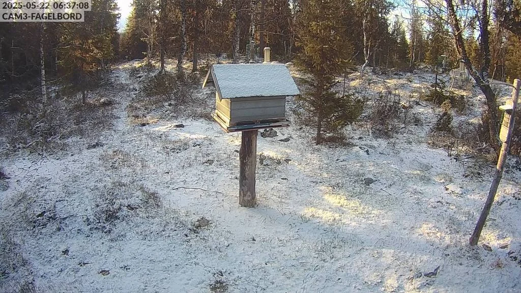 cam3-fagelbord.webp