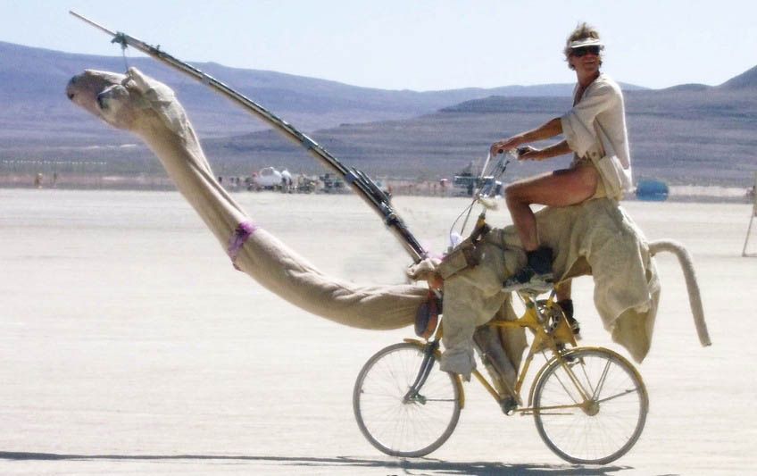 camel-bike.jpg