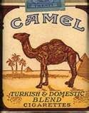 camel.jpg ht=160