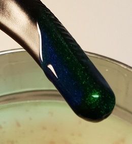 CameleonGreen_2.jpg