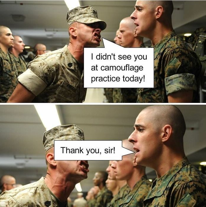 camouflage.JPG