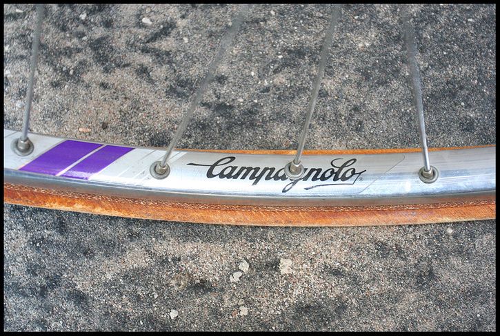 Campa.jpg ht=488