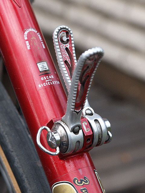campagnolo_chesini_shifters.jpg