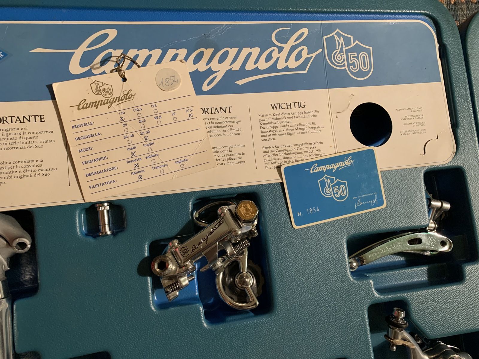 Campy50th.jpeg