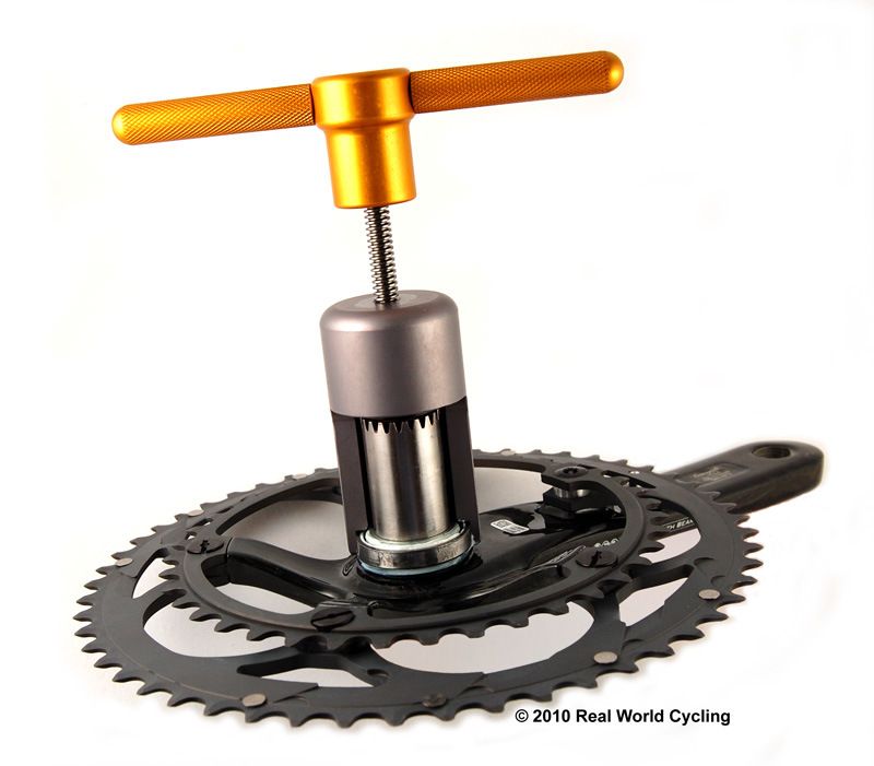 campy_ut_record2_800.jpg