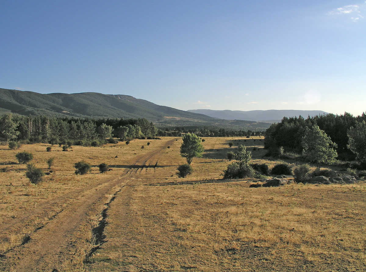Cannada-real-vera-de-la-sierra.jpg