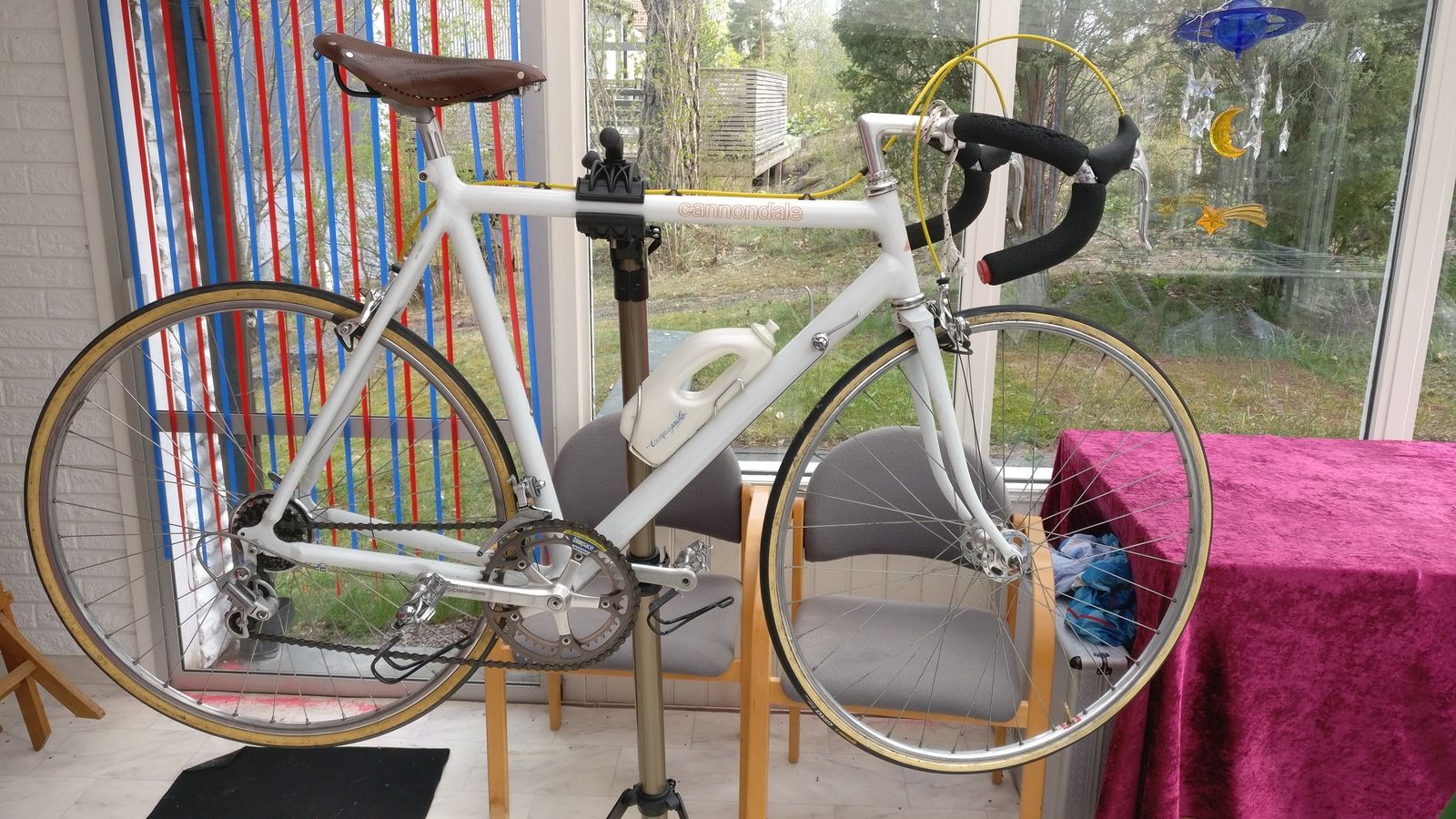 Cannondale.jpg