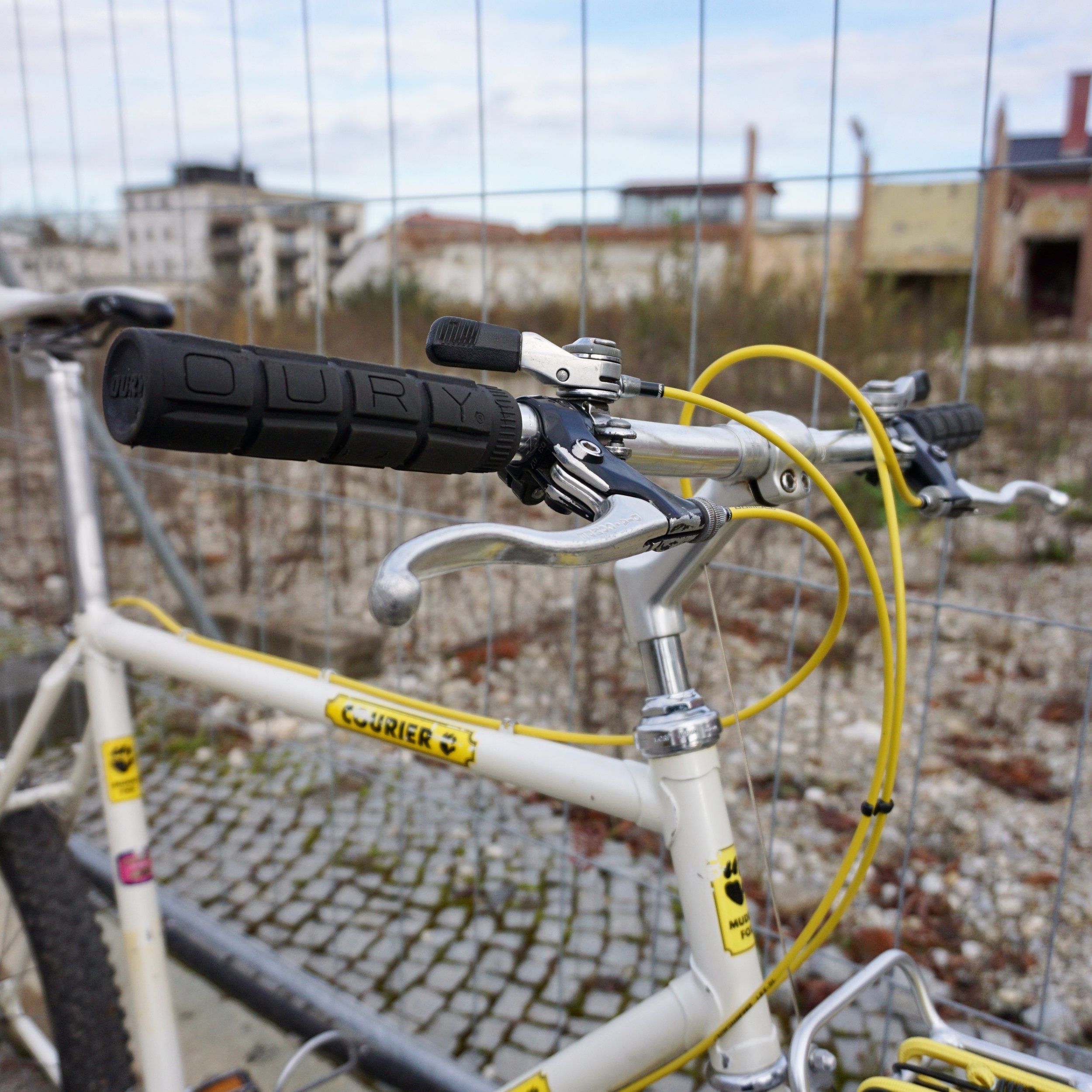 Canti4Life - 1 (1).jpeg