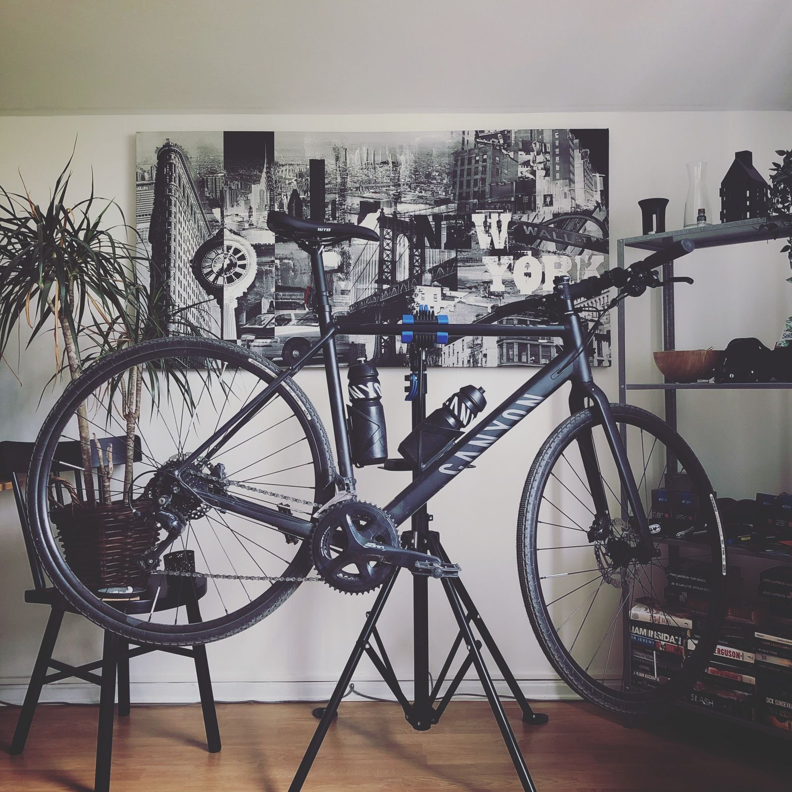 Canyon_Roadlite_Lagenheten.JPG