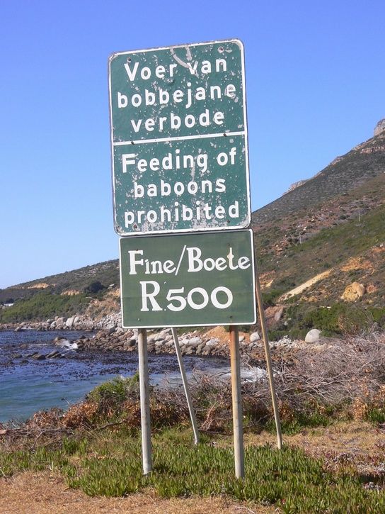capeofgoodhope0016-2.pg.jpg ht=725