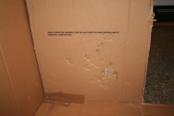 Cardboard.JPG ht=483