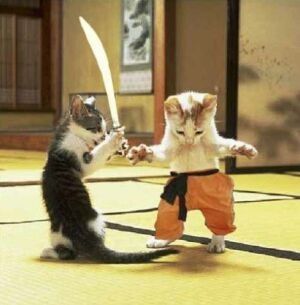 catfight2.jpg ht=305