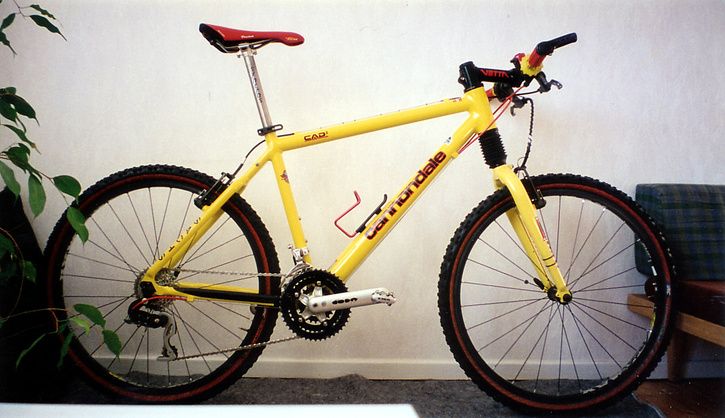 CdaleFteam-97_TL2.jpg ht=418