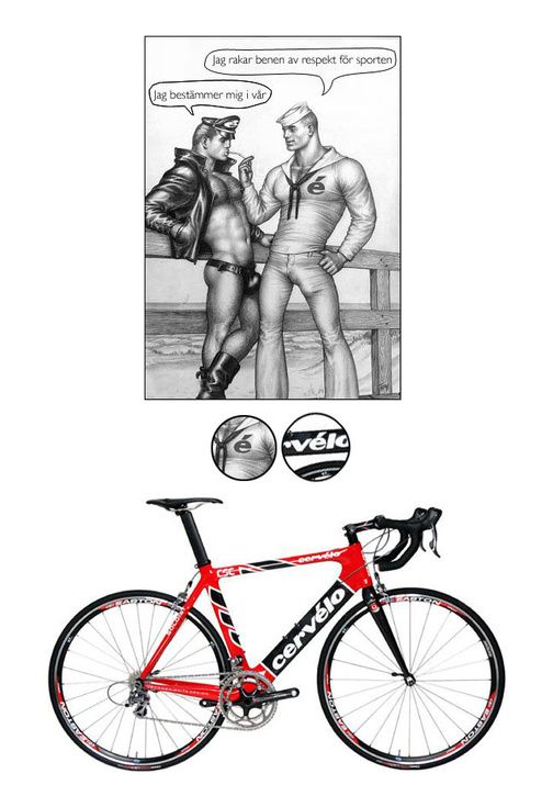 cervelo.jpg ht=725