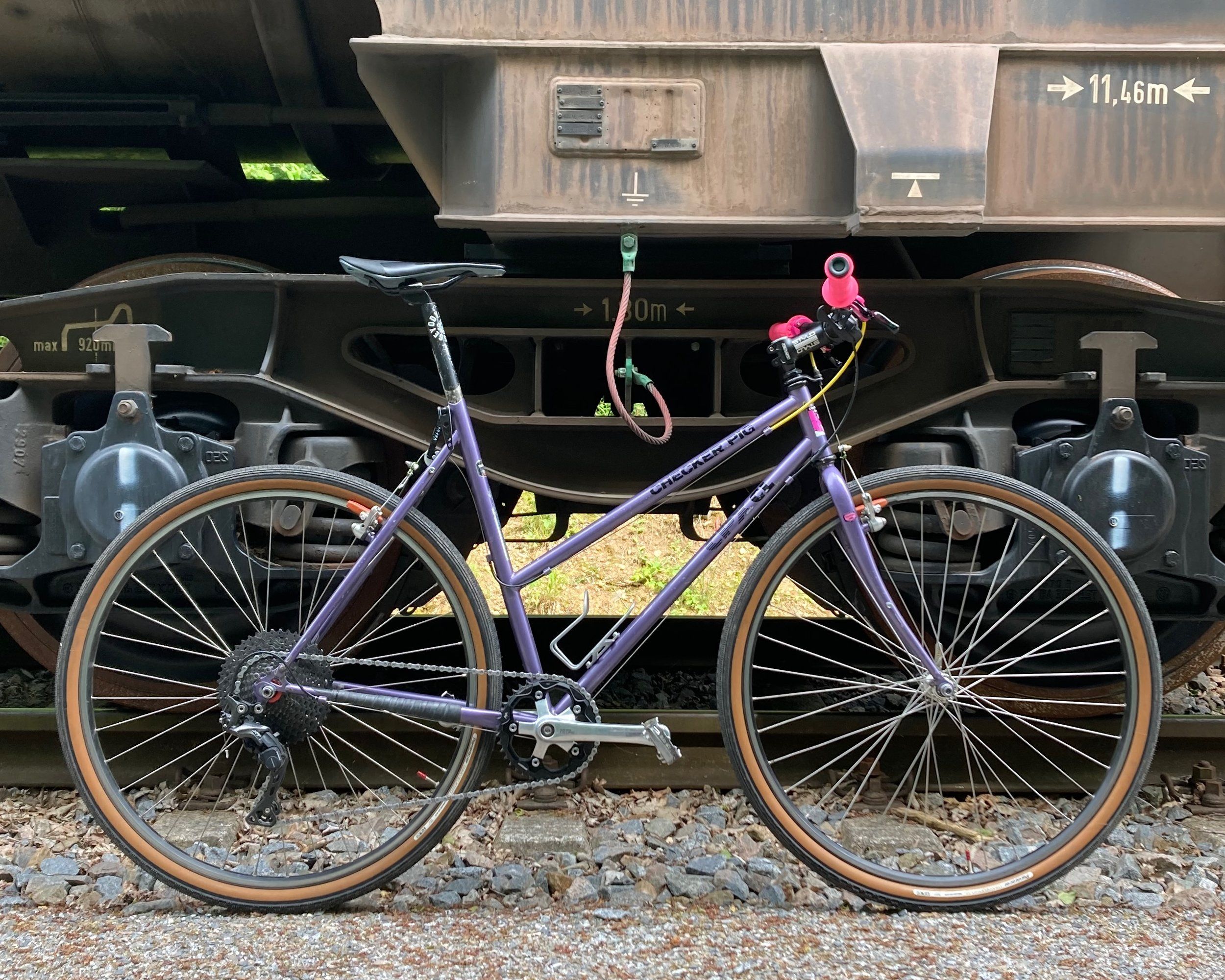 CheckerPig-CPXCL - 1.jpeg