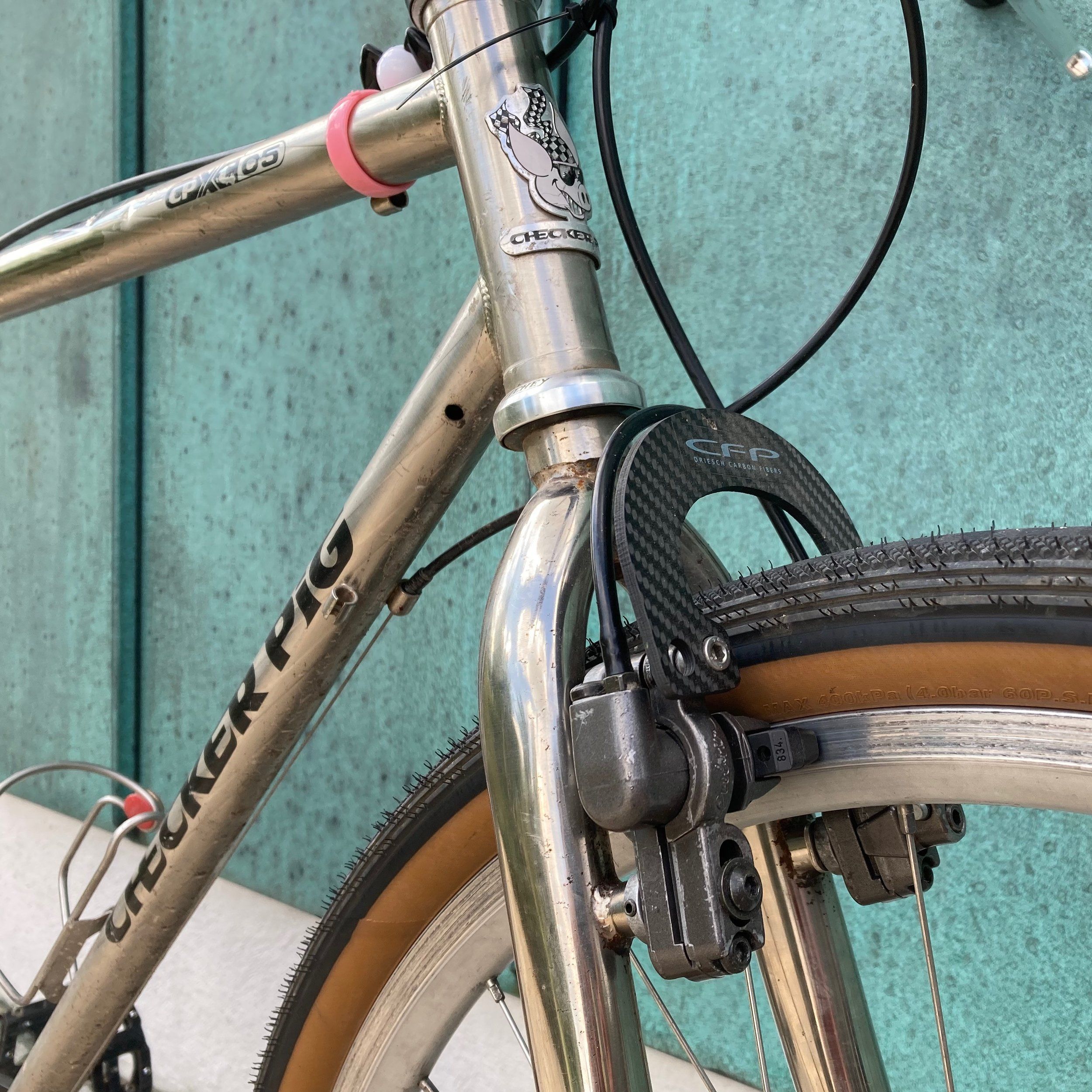 CheckerPig-Magura-HS22 - 1 (1).jpeg