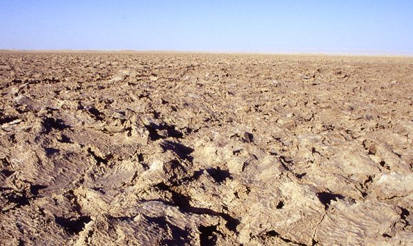 chi_2003_17.jpg ht=357