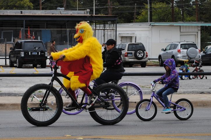 chicken_skogling.jpg