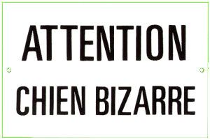 CHIENBIZARRE.jpg ht=201