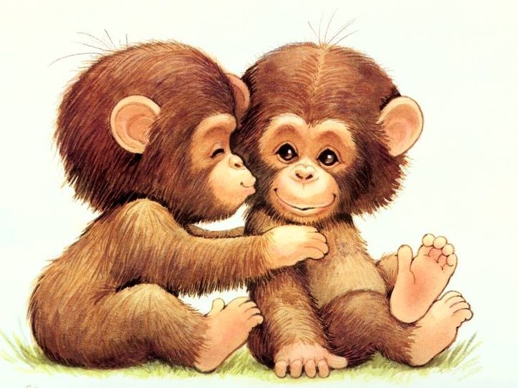 chimpanzee.jpg ht=544