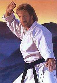 chuck-norris-judo.jpg