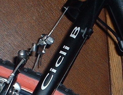 cicli1.jpg ht=376
