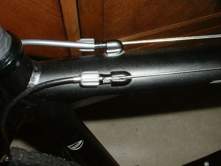 cicli7.jpg ht=544