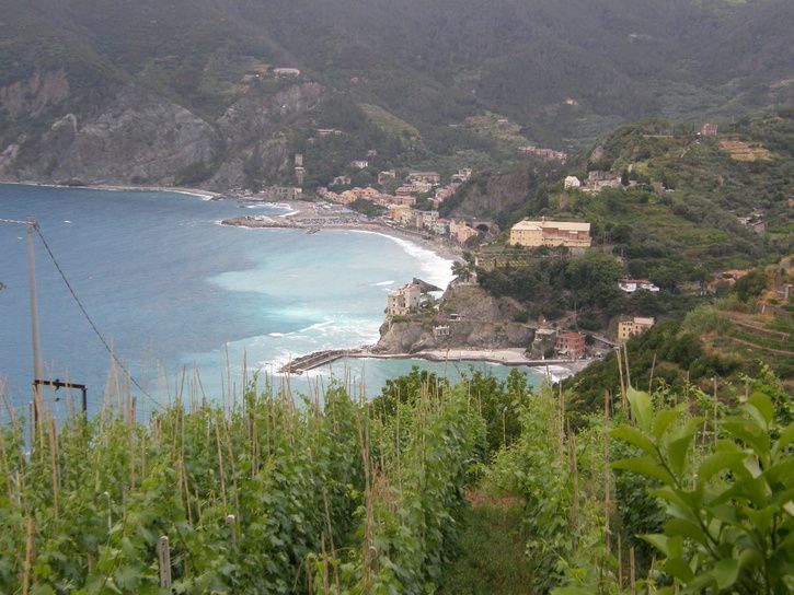 CinqueTerre2009418.JPG ht=544