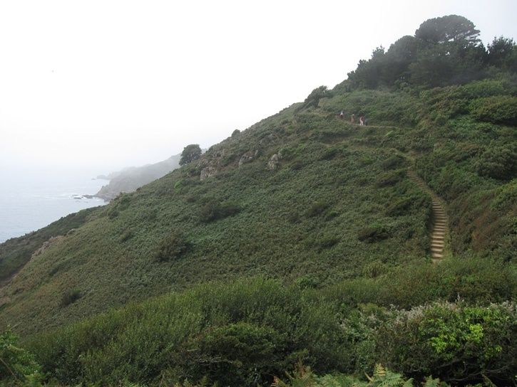 cliffwalk.jpg ht=544