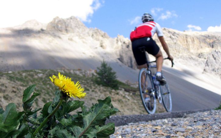 col_d_izoard_small.jpg ht=453