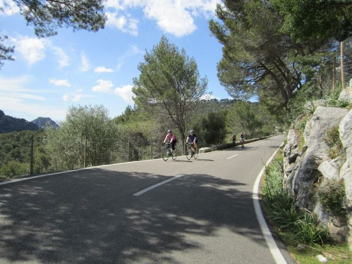 col_de_sa_batalla.jpg
