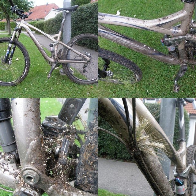 collage.jpg ht=640