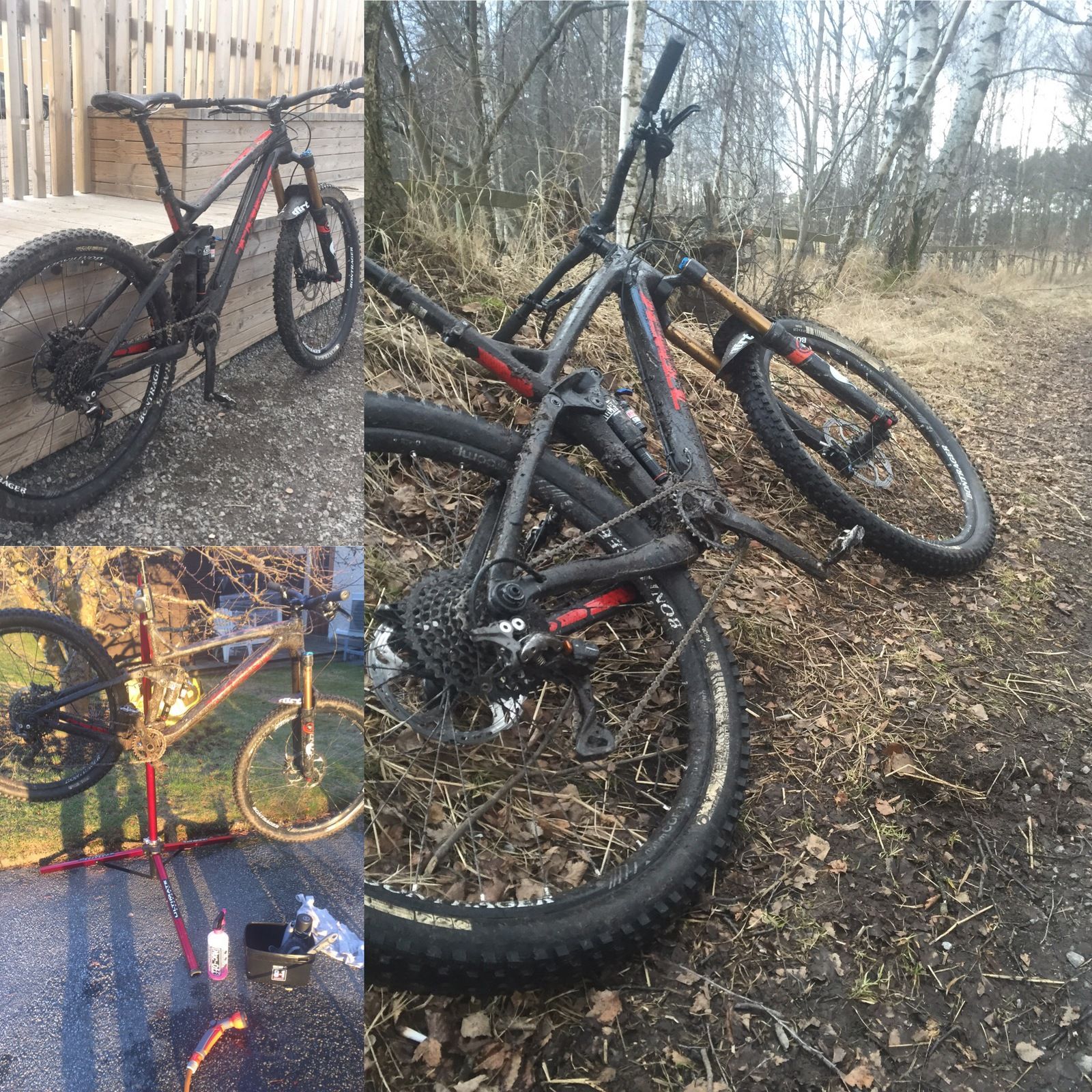 CollageMTB.jpeg