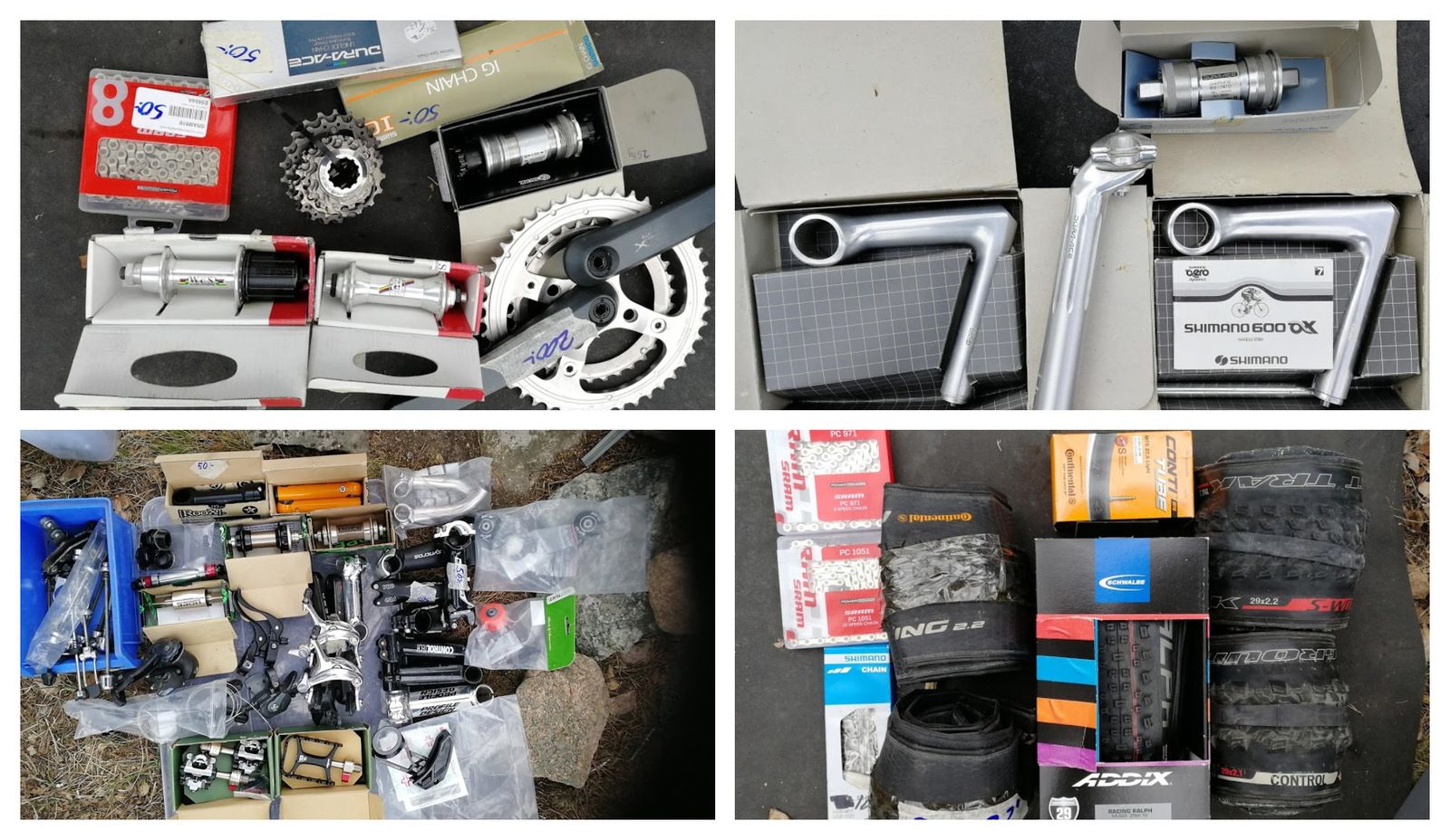 collage2.jpg