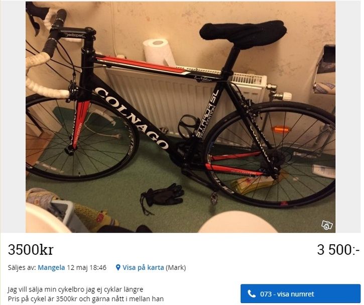 colnago.jpg