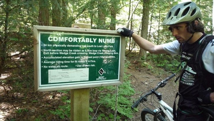 comfortably.numb.1.jpg ht=409