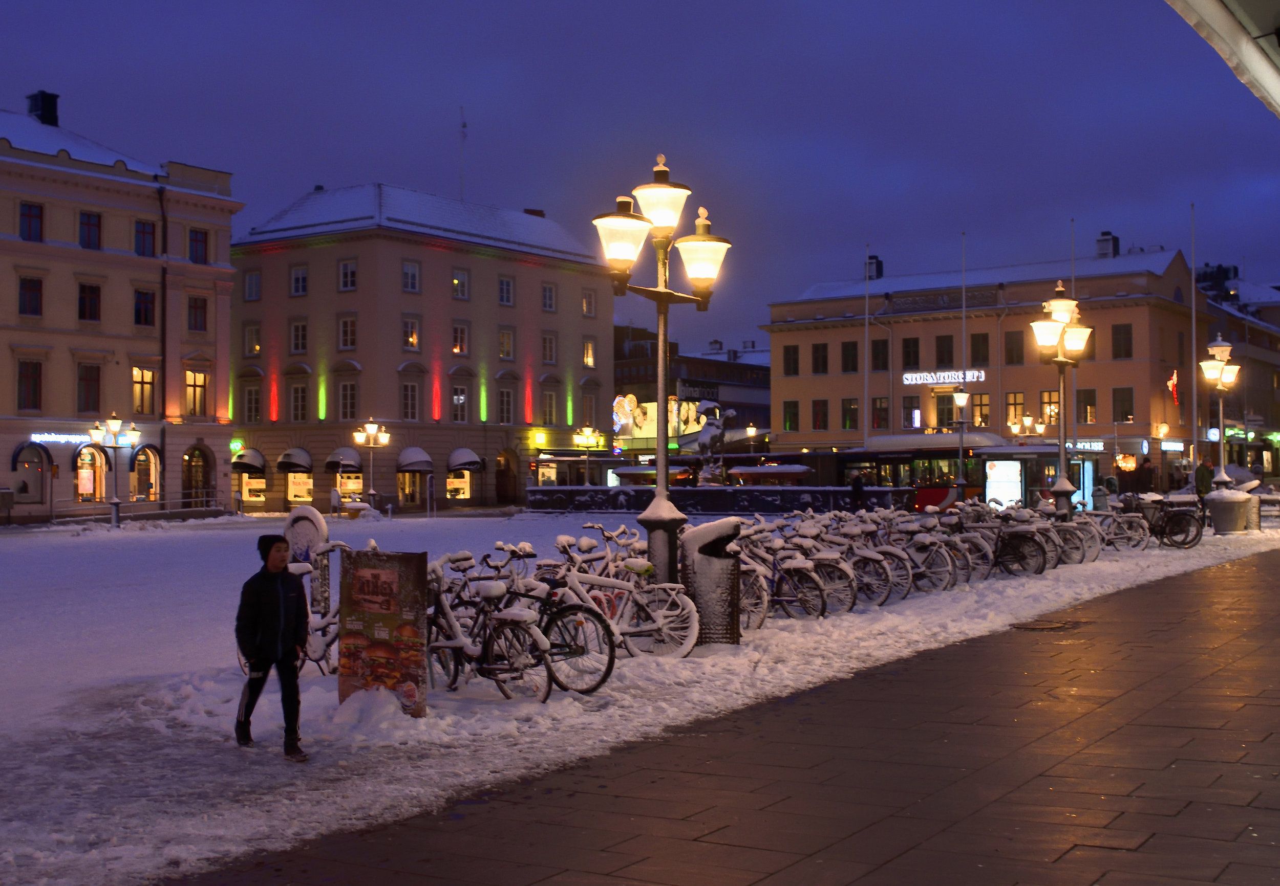 copyright_OlleA_2019-02-03_230_DSC4281.jpg