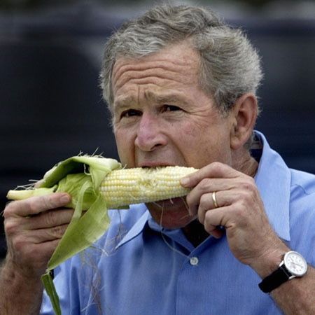 corn_02.jpg