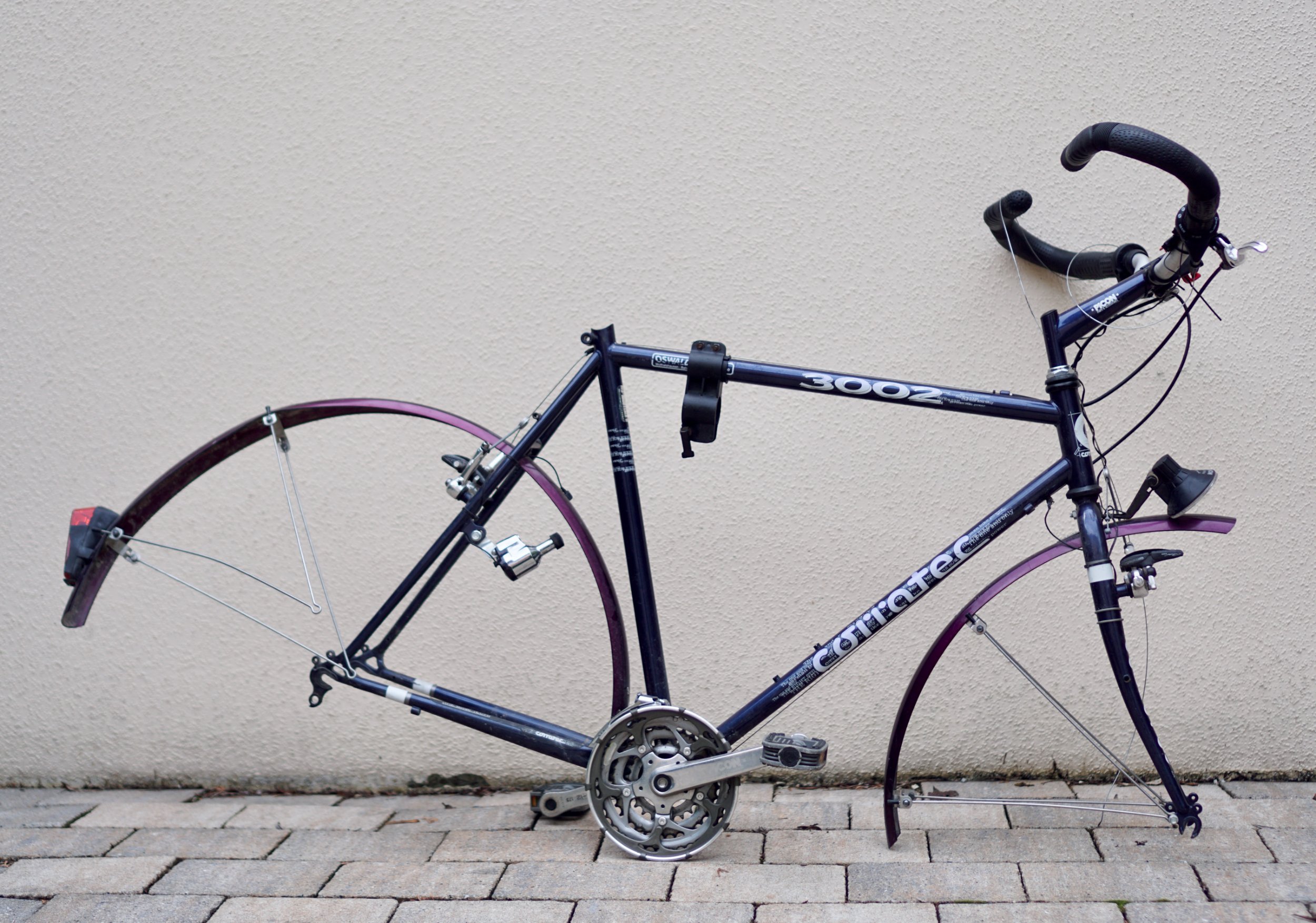 Corratec-3002 - 1.jpeg