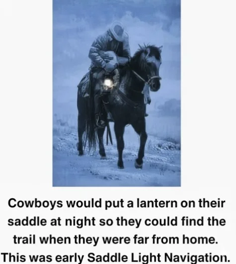 cowboy.webp