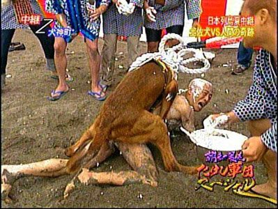 crazy_japanese_tv1.jpg ht=300