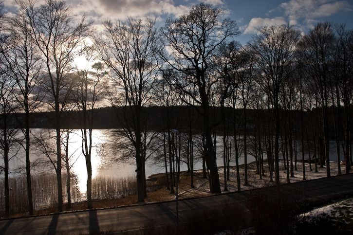 CRW_9807.jpg ht=483