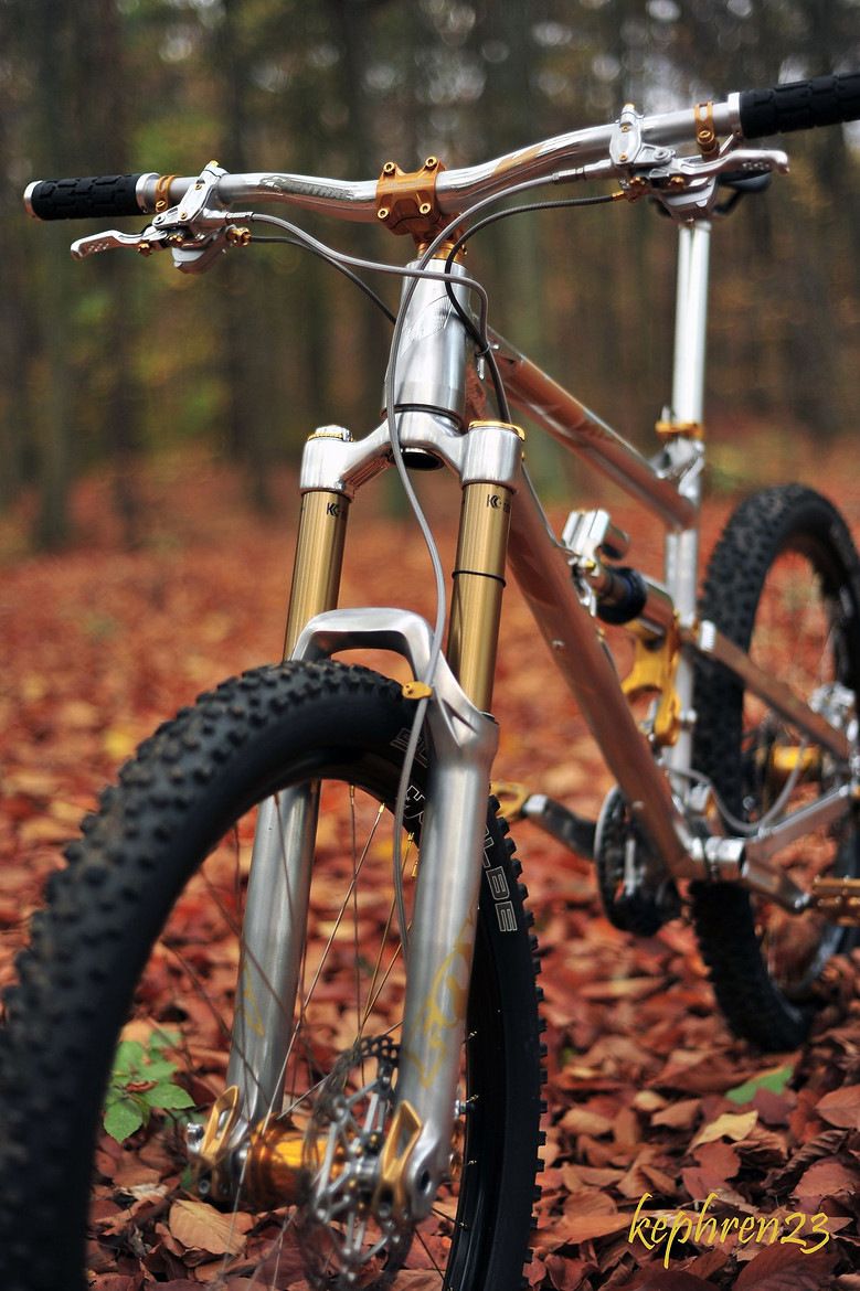 Custom-Chrome-Fox-Fork-Nicolai-Ion-16.jpg